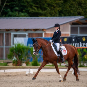 CDI Troisdorf 2023 - autumn