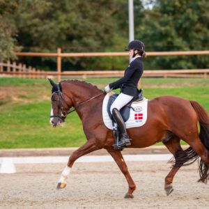 CDI Troisdorf 2023 - autumn