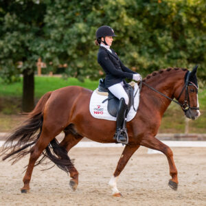 CDI Troisdorf 2023 - autumn