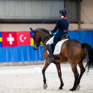 CDI Wroclaw 2023 - autumn