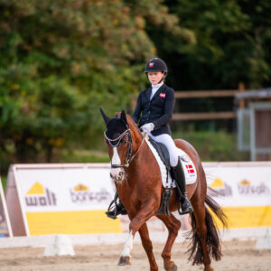 CDI Troisdorf 2023 - autumn