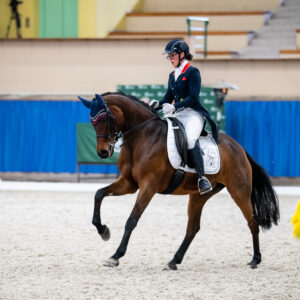 CDI Wroclaw 2023 - autumn