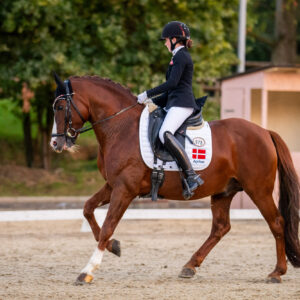 CDI Troisdorf 2023 - autumn