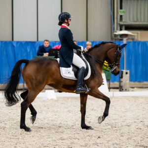 CDI Wroclaw 2023 - autumn