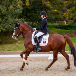 CDI Troisdorf 2023 - autumn