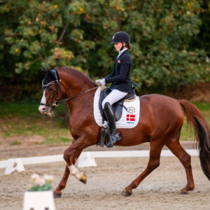 CDI Troisdorf 2023 - autumn