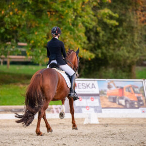 CDI Troisdorf 2023 - autumn