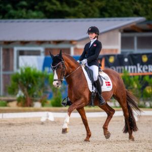 CDI Troisdorf 2023 - autumn