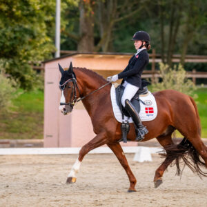 CDI Troisdorf 2023 - autumn