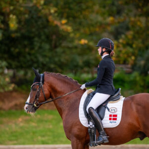 CDI Troisdorf 2023 - autumn