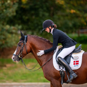 CDI Troisdorf 2023 - autumn
