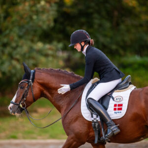 CDI Troisdorf 2023 - autumn