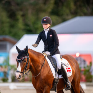 CDI Troisdorf 2023 - autumn
