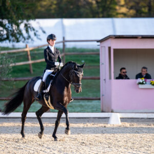 CDI Troisdorf 2023 - autumn