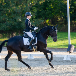 CDI Troisdorf 2023 - autumn