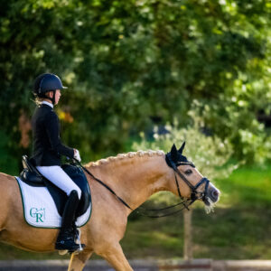 CDI Troisdorf 2023 - autumn