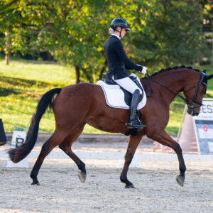 CDI Troisdorf 2023 - autumn