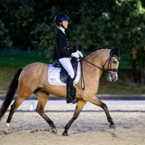 CDI Troisdorf 2023 - autumn