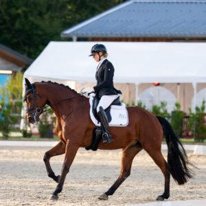 CDI Troisdorf 2023 - autumn