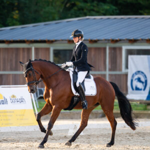 CDI Troisdorf 2023 - autumn
