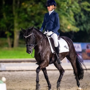 CDI Troisdorf 2023 - autumn