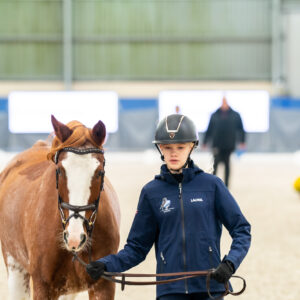 CDI Wroclaw 2023 - autumn