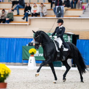 CDI Wroclaw 2023 - autumn