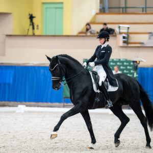 CDI Wroclaw 2023 - autumn