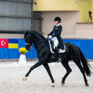 CDI Wroclaw 2023 - autumn