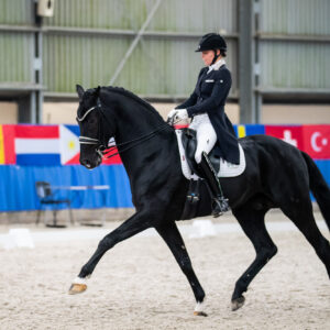 CDI Wroclaw 2023 - autumn