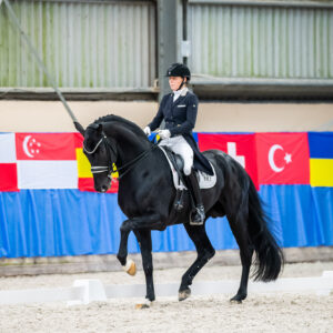 CDI Wroclaw 2023 - autumn