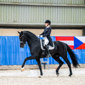 CDI Wroclaw 2023 - autumn