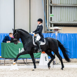 CDI Wroclaw 2023 - autumn