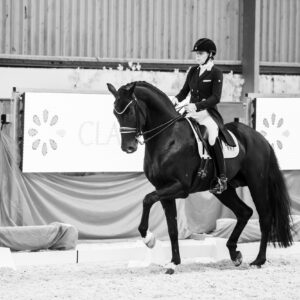 CDI Wroclaw 2023 - autumn