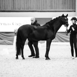 CDI Wroclaw 2023 - autumn