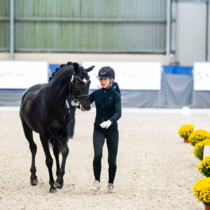 CDI Wroclaw 2023 - autumn