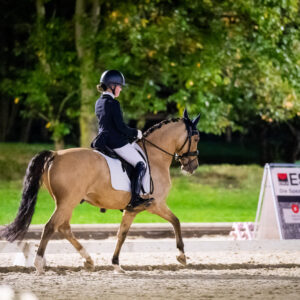 CDI Troisdorf 2023 - autumn