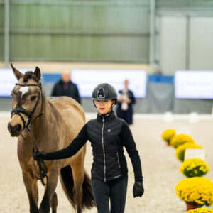 CDI Wroclaw 2023 - autumn