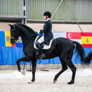 CDI Wroclaw 2023 - autumn