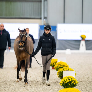 CDI Wroclaw 2023 - autumn