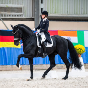CDI Wroclaw 2023 - autumn
