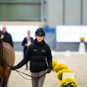 CDI Wroclaw 2023 - autumn