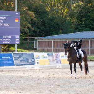 CDI Troisdorf 2023 - autumn