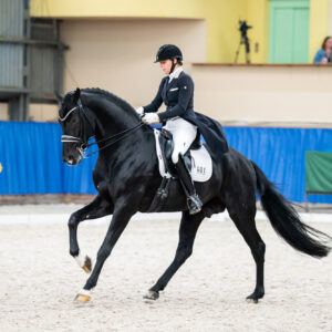 CDI Wroclaw 2023 - autumn