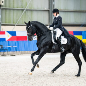 CDI Wroclaw 2023 - autumn
