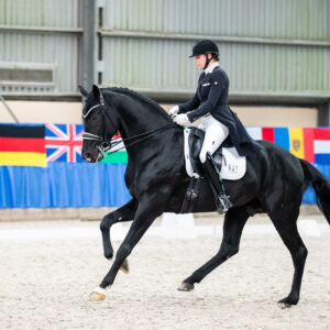 CDI Wroclaw 2023 - autumn