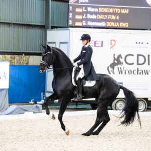 CDI Wroclaw 2023 - autumn