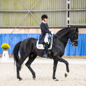 CDI Wroclaw 2023 - autumn
