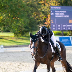 CDI Troisdorf 2023 - autumn
