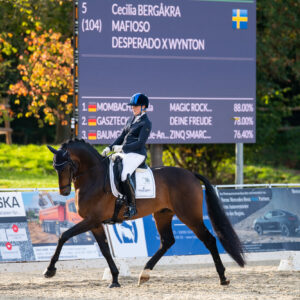 CDI Troisdorf 2023 - autumn